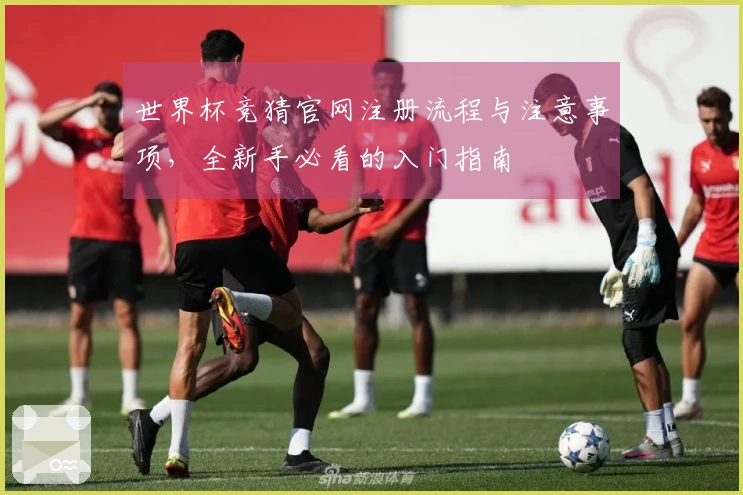 世界杯竞猜官网注册流程与注意事项，全新手必看的入门指南