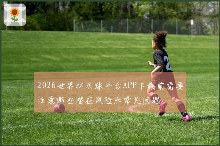 2026世界杯买球平台APP下载前需要注意哪些潜在风险和常见问题