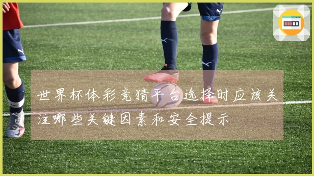 世界杯体彩竞猜平台选择时应该关注哪些关键因素和安全提示
