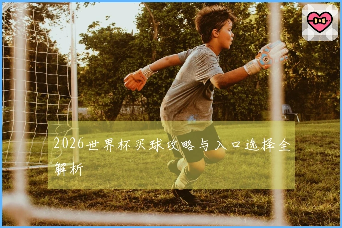 2026世界杯买球攻略与入口选择全解析