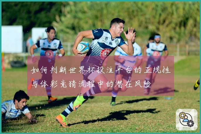 如何判断世界杯投注平台的正规性与体彩竞猜流程中的潜在风险