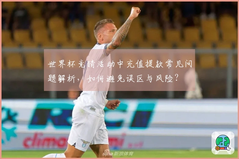 世界杯竞猜活动中充值提款常见问题解析，如何避免误区与风险？