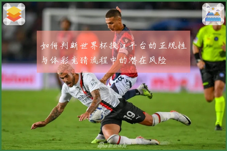 如何判断世界杯投注平台的正规性与体彩竞猜流程中的潜在风险